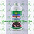 Algfast Concentrated Seaweed Extract Liquid Fertilizer 2