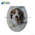 Normal & Elongated Polyresin toilet seat supplier 3