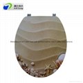 Normal & Elongated Polyresin toilet seat supplier 2