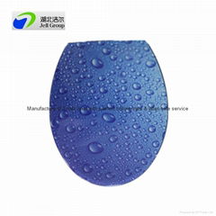 Water spray toilet seat with soft close hinges