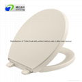 Pure White Plastic toilet seat cover