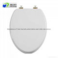 Moulded wood toilet seat manufacturer