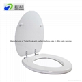 European duroplast toilet seat with stainless steel soft close hinges 1