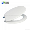 PP toilet seat with soft hinges and 17"