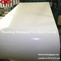 Prepainted galvanized steel coil 1