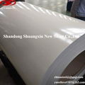 Prepainted galvanized steel coil 3