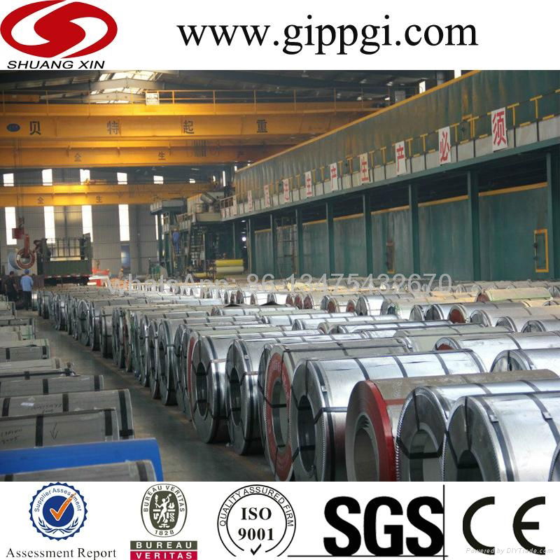 Hot dipped galvanized steel coil GI 5