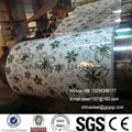 Flowers pattern PPGI decoration building steel coil 2