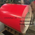 export Ral3020 traffic red color PPGL roofing metal coil 5