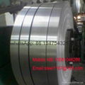 GI PPGI steel strip