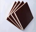 Cheap Price Black Film Faced Plywood 1