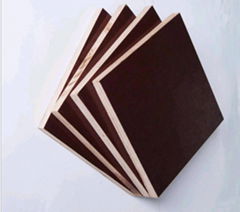 Cheap Price Black Film Faced Plywood