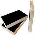 Film Faced Plywood for Construction 1