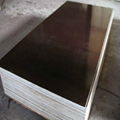 WBP Construction Plywood with Cheap Price 1