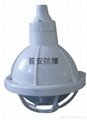 BAD52-e防爆全塑灯，防水防尘防腐三防灯