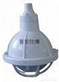 BAD52-e防爆全塑燈，防水防塵防腐三防燈