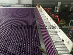 上海冠鵬供應2米款鏈網輸送機