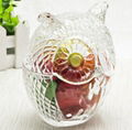 Wholesale clear owl shaped glass jar of