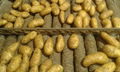 2016 new farm fresh yellow potato (Holland ) 2