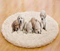 Artificial plush pet pad 5