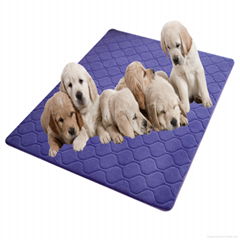 Coral fleece pet mat