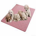 Coral fleece pet mat 3