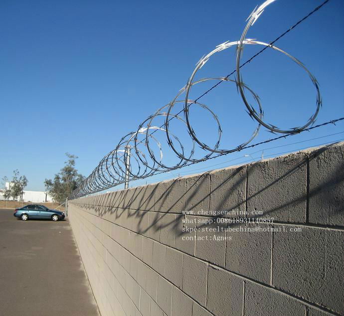 Barbed Razor Wire-CBT65 3