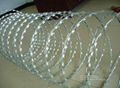 Barbed Razor Wire-CBT65 4