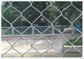 Chain Link Fence 3