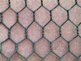 Hexagonal WireMesh 5