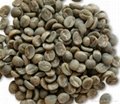 Buy Quality Arabica Coffee Beans