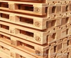 Buy Online Used and New Eur Epal Wooden Pallets by Euro Pallet Manufacturer