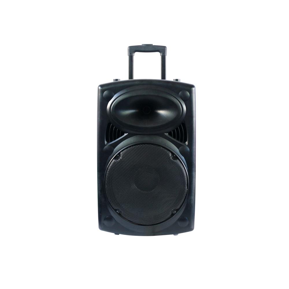10 '' bass home theater Bluetooth portable speaker with LED light for DJ 2