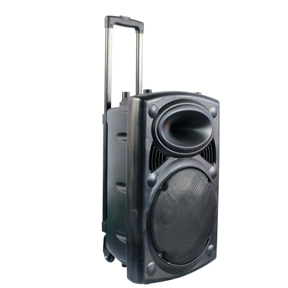 10 '' bass home theater Bluetooth portable speaker with LED light for DJ 3