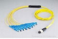 MPO - 8 SC fiber optic patch cord 1