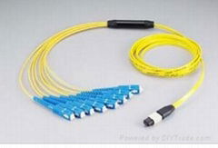 MPO - 8 SC fiber optic patch cord