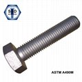 Heavy Hex Structure Bolts A490m 10s