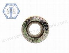  Flange Nuts DIN6923