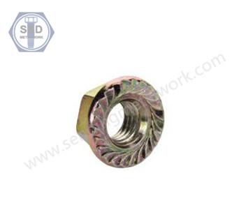  Flange Nuts DIN6923 2