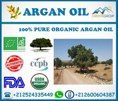 Pure Argan oil wholesale