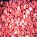 Frozen Strawberry Diced 1