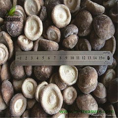 Frozen Lentinus Edodes Shiitake