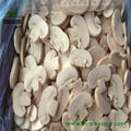 IQF Frozen Agaricus Bisporus 1