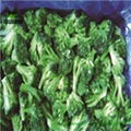 Frozen Broccoli in China 1