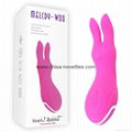 Yeah! Rabbit Vibrator