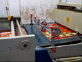 Automatic Die Cutting Machine for Paper