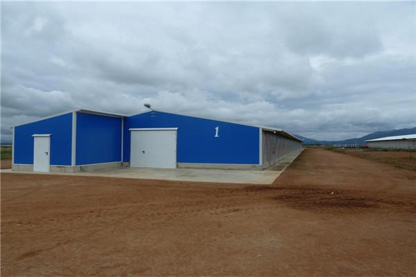 Poultry Farm Shed Chicken House for Broiler Chicken Layer Chicken