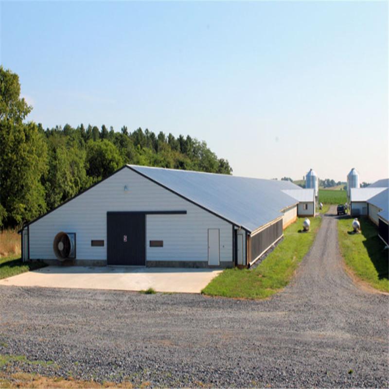 Poultry Farm Shed Chicken House for Broiler Chicken Layer Chicken 3