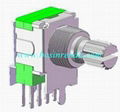 Rotary Switch for Domestic Appliances