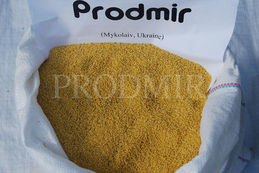 Yellow hulled millet 2